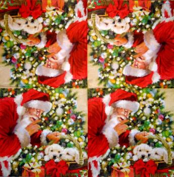 081 Winter - 3-ply - Villaverde